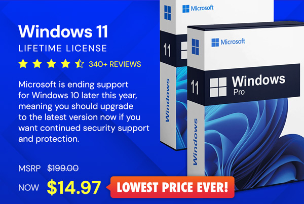 Microsoft Windows 11 Pro