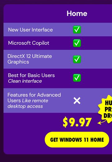 Microsoft Windows 11 Home