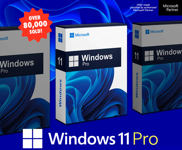 Microsoft Windows 11 Pro
