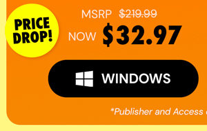 Microsoft Office Professional 2021 for Windows: Lifetime License