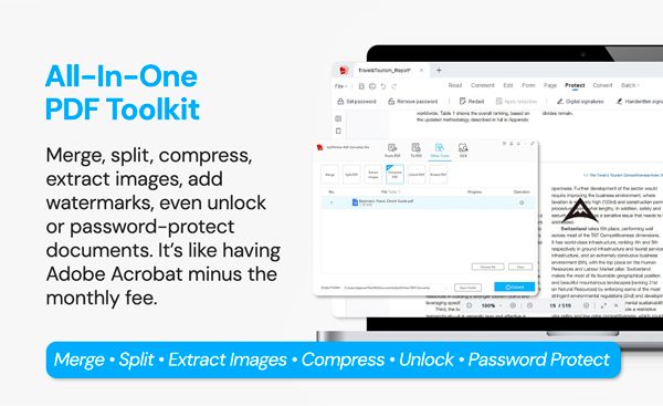 AcePDF Converter Pro: Lifetime License