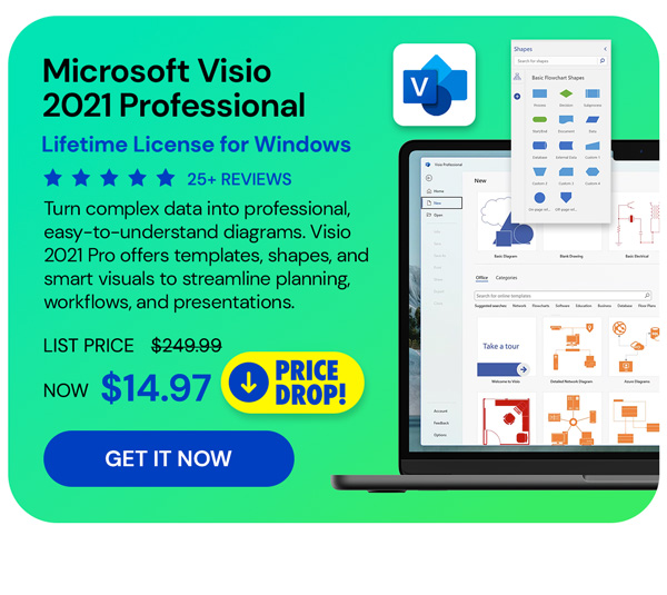 Microsoft Visio 2021 Professional for Windows