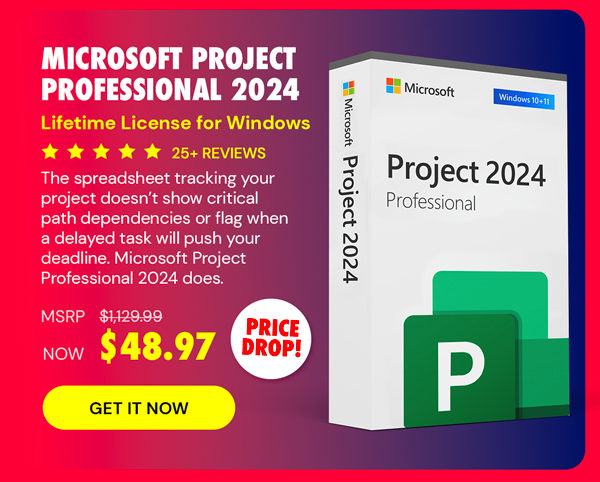 Microsoft Project Professional 2024: Lifetime License for Windows