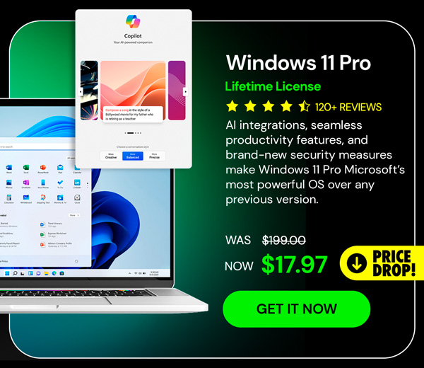 Microsoft Windows 11 Pro