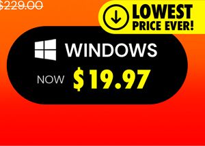 Microsoft Office Professional Plus 2019 for Windows | Lifetime License