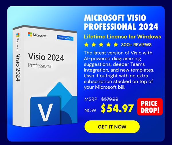 Microsoft Visio Professional 2024: Lifetime License for Windows