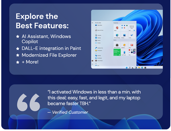Microsoft Windows 11 Pro
