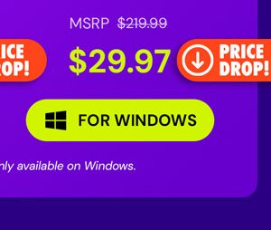 Microsoft Office Professional 2021 for Windows: Lifetime License