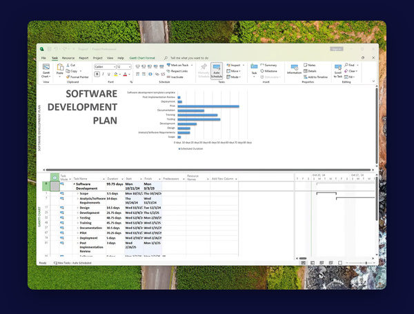 Microsoft Visio or Project 2024 Professional: Lifetime License for Windows