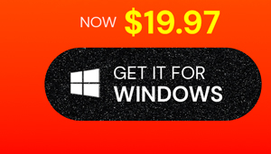 Microsoft Office Professional Plus 2019 for Windows | Lifetime License