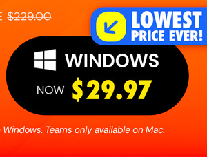 Microsoft Office Professional Plus 2019 for Windows