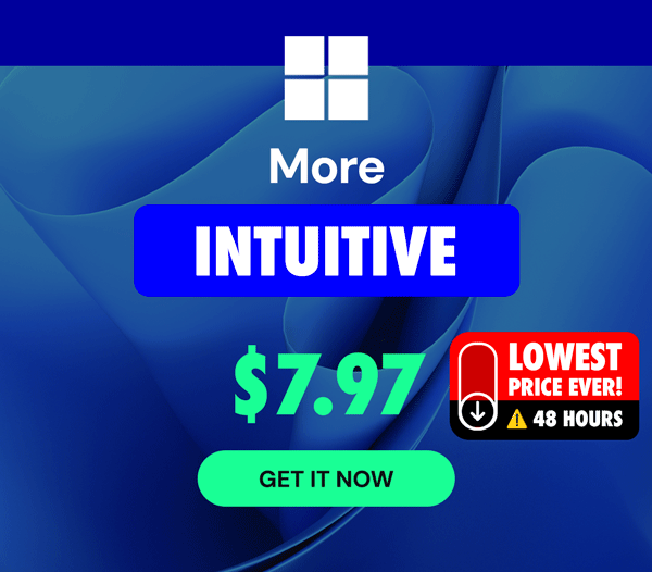 Microsoft Windows 11 Pro | Lifetime License