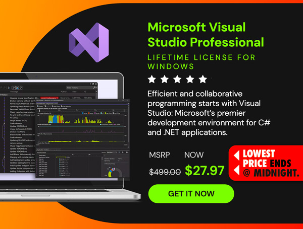 Microsoft Visual Studio Professional 2022 for Windows
