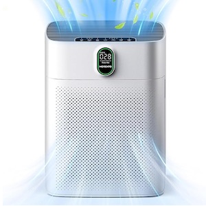 Air Purifier for Large Rooms