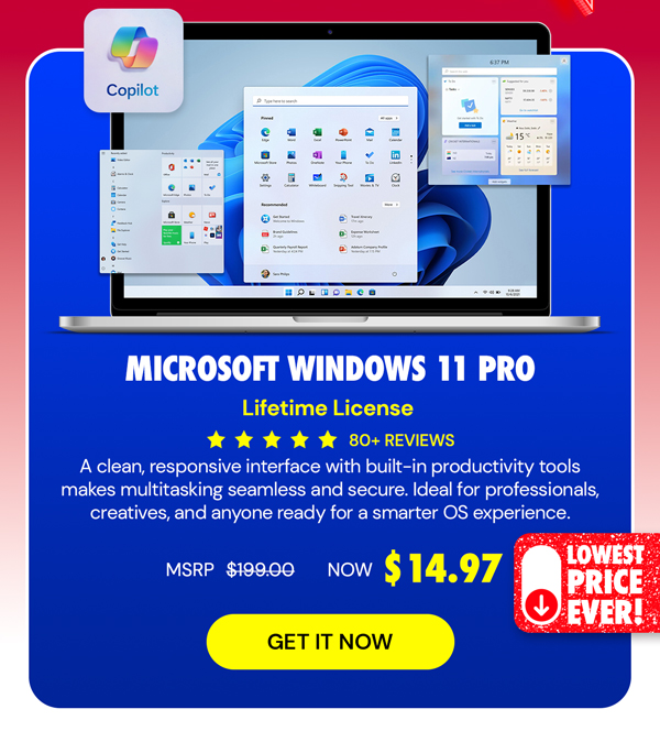 Microsoft Windows 11 Pro