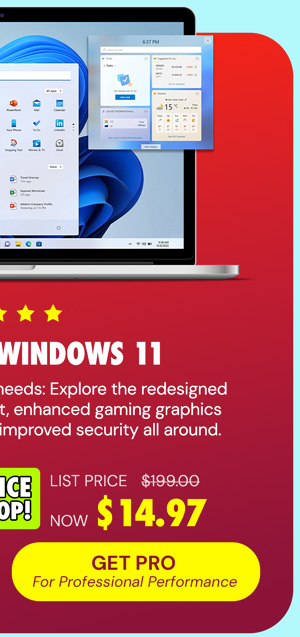 Microsoft Windows 11 Pro