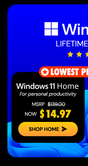 Microsoft Windows 11 Home