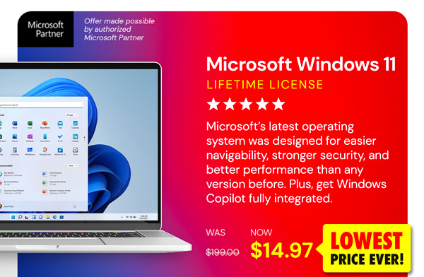 Microsoft Windows 11 Pro Lifetime License