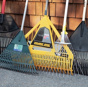 Fall cleanup? We've got you covered.