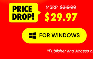 Microsoft Office 2021 for Windows: Lifetime License