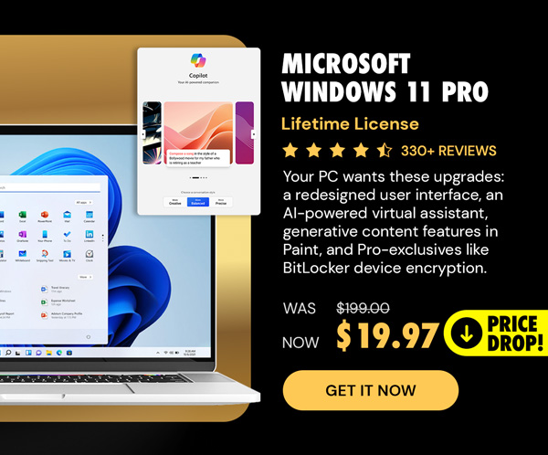 Microsoft Windows 11 Pro