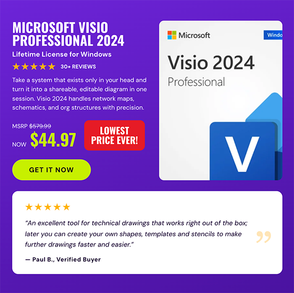 Microsoft Visio Professional 2024: Lifetime License for Windows