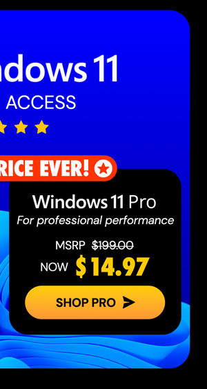 Microsoft Windows 11 Pro