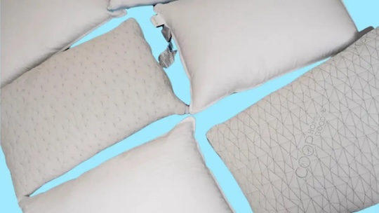 What's actually been living in your pillow all along