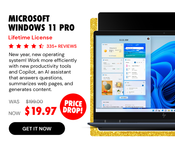 Microsoft Windows 11 Pro