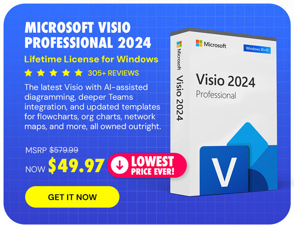 Microsoft Visio Professional 2024: Lifetime License for Windows