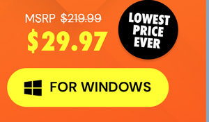 Microsoft Office Professional 2021 for Windows: Lifetime License