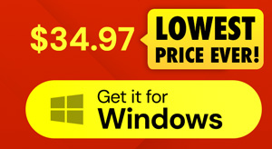 Microsoft Office Professional 2021 for Windows: Lifetime License