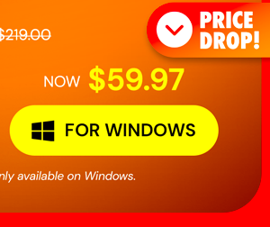 Microsoft Office Professional 2021 for Windows: Lifetime License