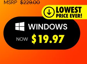 Microsoft Office Professional Plus 2019 for Windows | Lifetime License