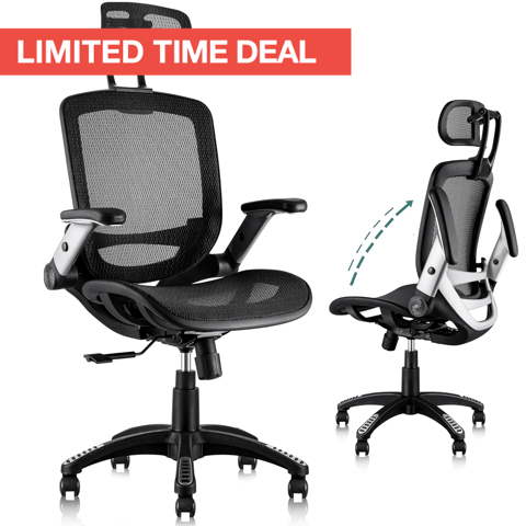 Ergonomic Office Chair