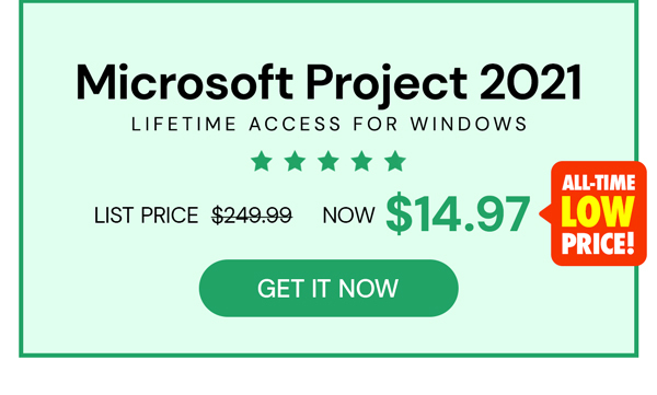 Microsoft Project 2021 Professional: Lifetime License for Windows