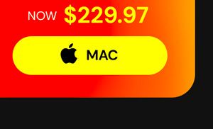 Intuit QuickBooks Desktop Pro Plus 2024 (1 User): Lifetime License