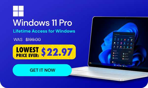 Microsoft Windows 11 Pro