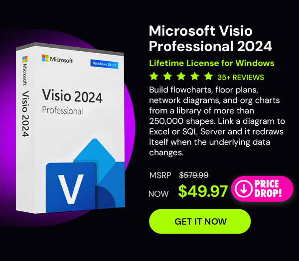 Microsoft Visio Professional 2024: Lifetime License for Windows