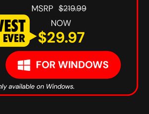 Microsoft Office Professional 2021 for Windows: Lifetime License