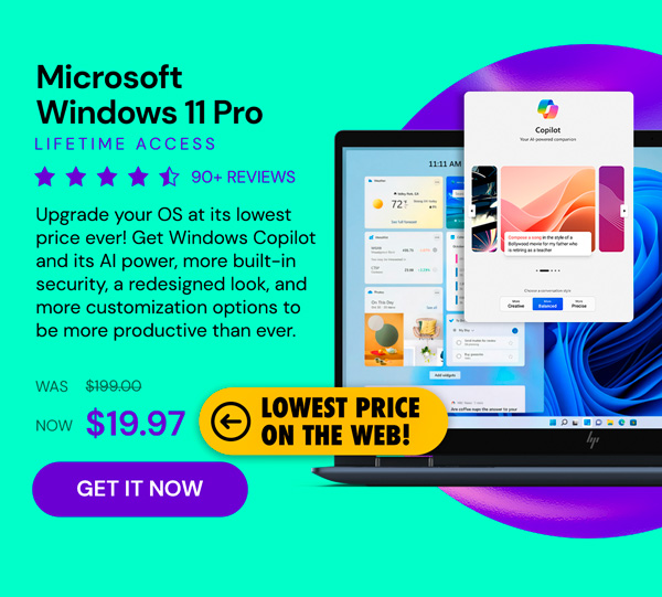 Microsoft Windows 11 Pro