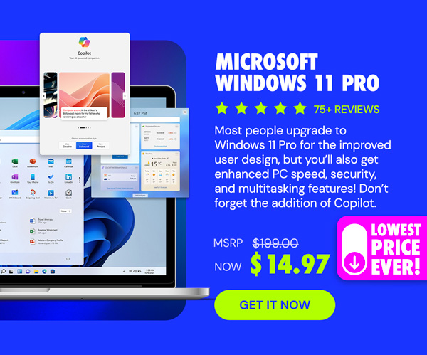 Microsoft Windows 11 Pro
