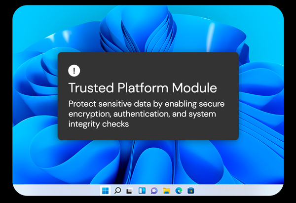 Microsoft Windows 11 Pro or Home