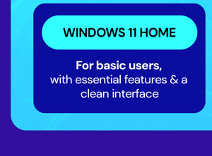 Microsoft Windows 11 Home Lifetime License