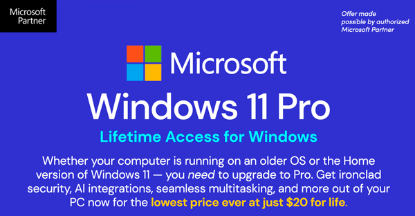 Microsoft Windows 11 Pro