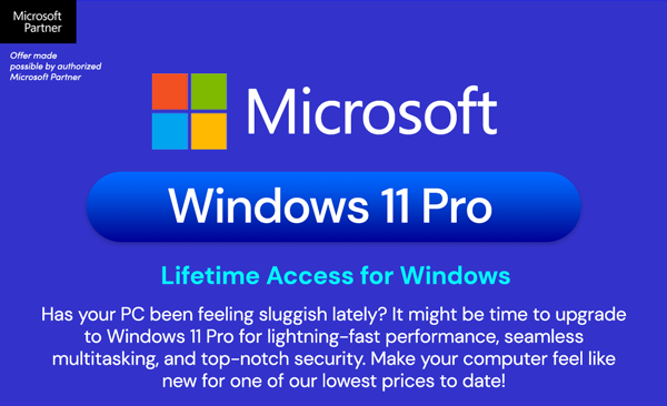 Microsoft Windows 11 Pro