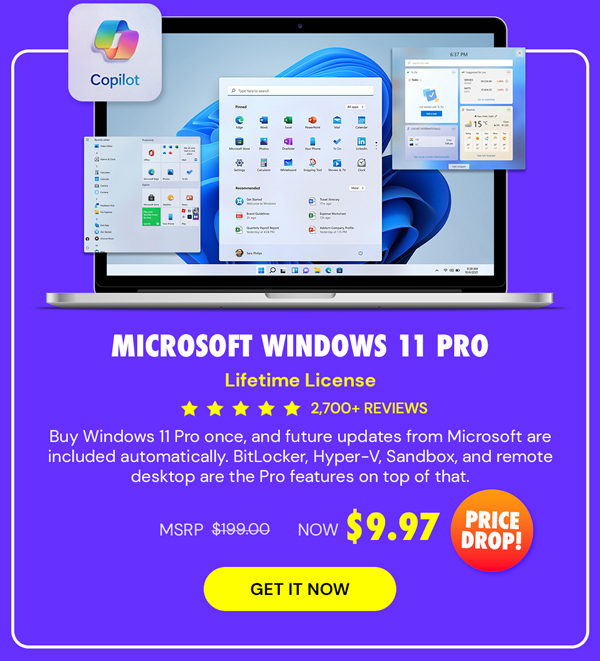 Microsoft Windows 11 Pro