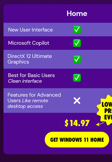Microsoft Windows 11 Home | Lifetime License