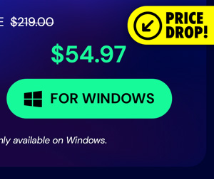 Microsoft Office Professional 2021 for Windows: Lifetime License