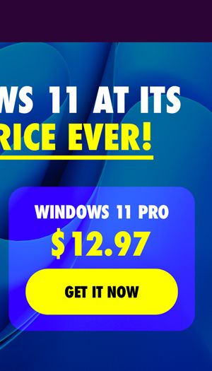 Microsoft Windows 11 Pro